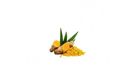 Zerdeçal Yağı - Curcuma longa